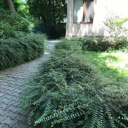 Apartamento 21 Asparuh - 24h Self Check-in Sofía