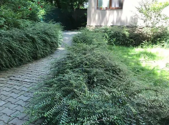 Apartmán 21 Asparuh - 24h Self Check-in Sofie